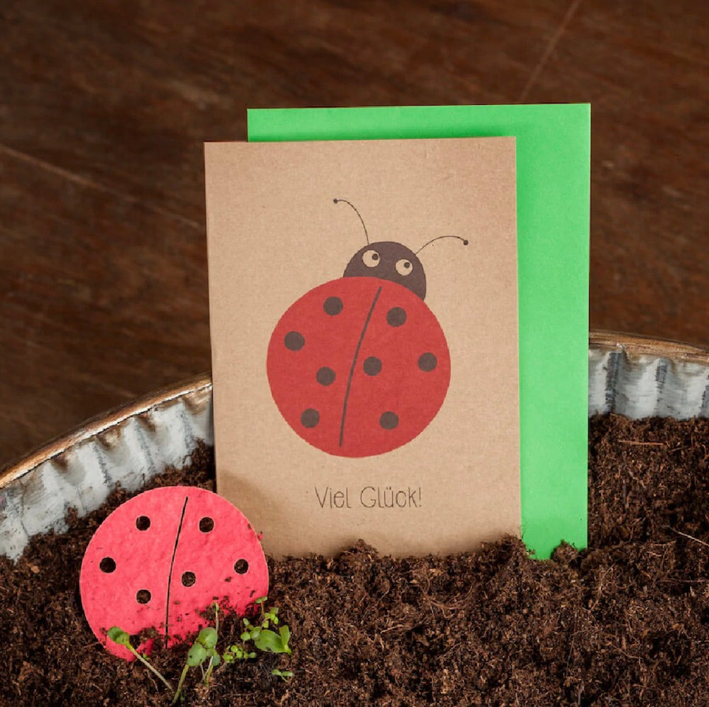 Saatpapier Grusskarte VIEL GLÜCK