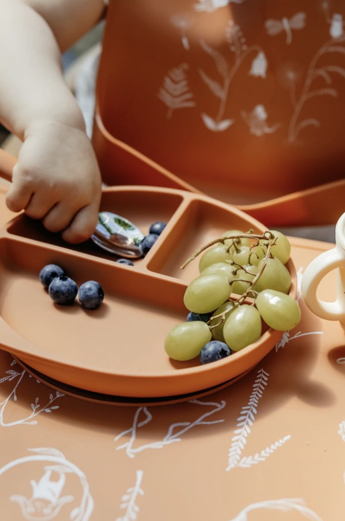 Silikonteller mit Saugnapf