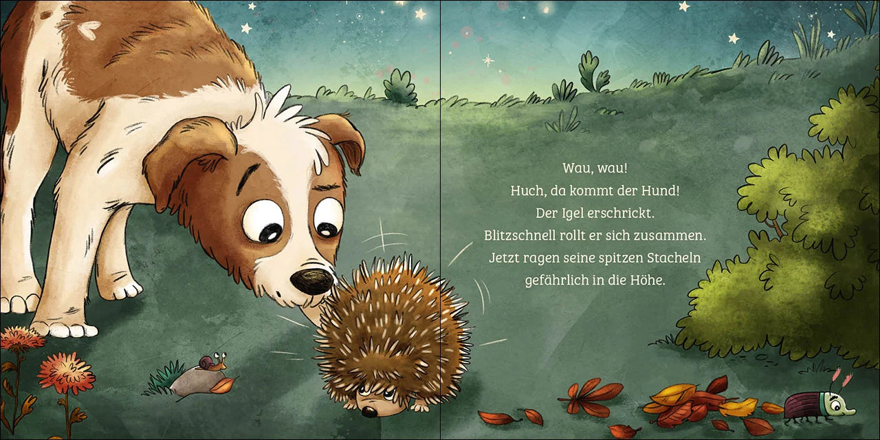 Pappbilderbuch - Mein erstes Naturbuch: Der Igel