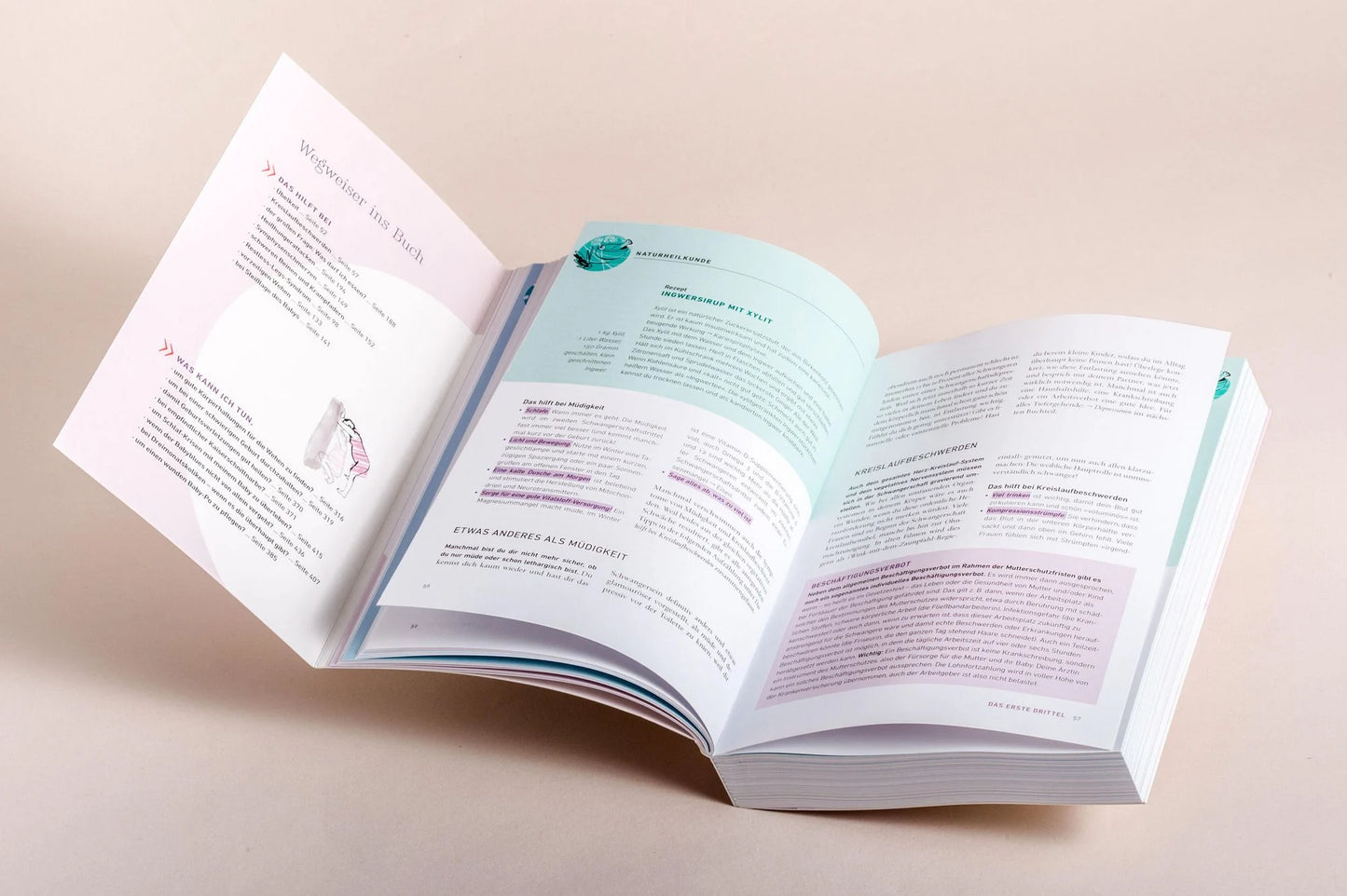 Guter Hoffnung - Hebammenwissen für Mama & Baby (K. Dannhauer)