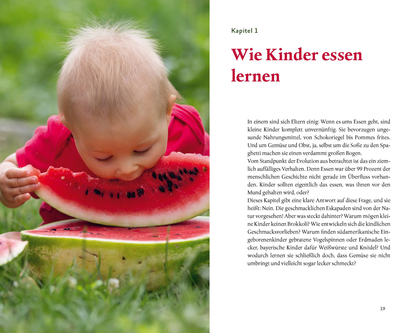 Kinder verstehen - Born to be wild (H. Renz-Polster)