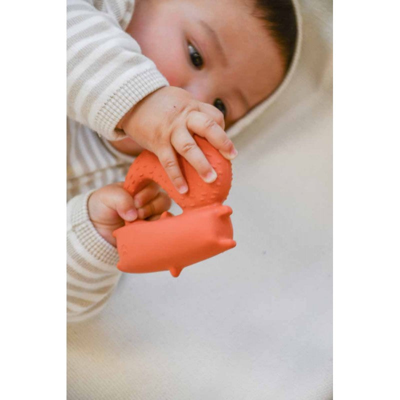 Natur-Kautschuk Beissring CYRIL the Squirrel Fox