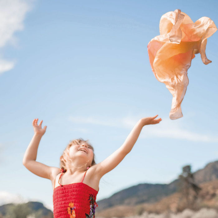 Sarah's Silks Spielseide