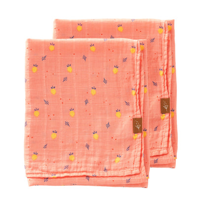 Bio Nuschis / Mulltücher, 2 Stück