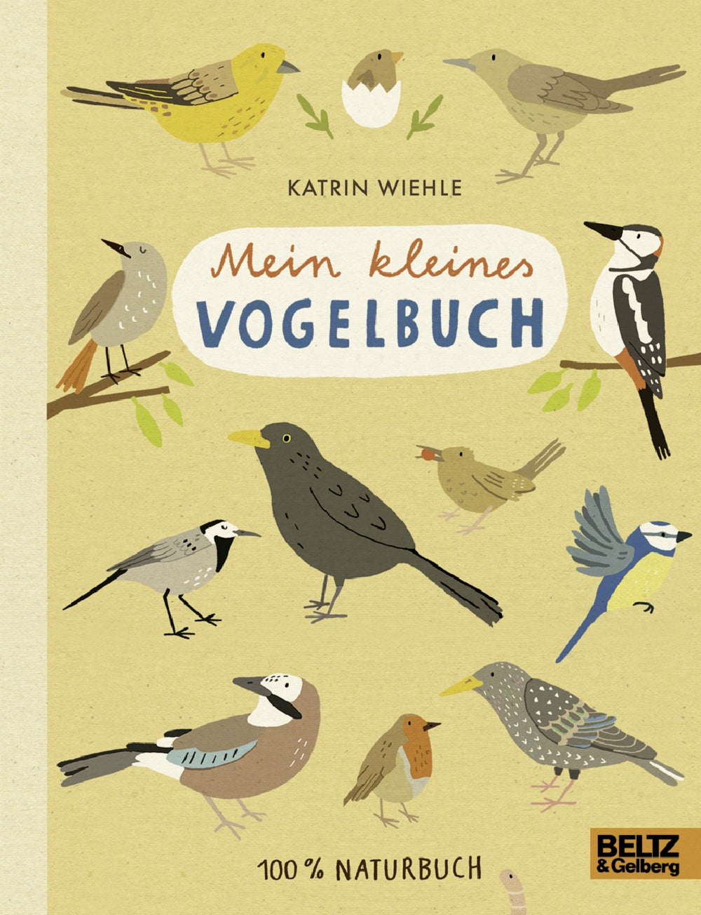 Kinderbuch Naturbuch - Mein kleines Vogelbuch